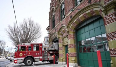 Five dogs and two cats died after a fire broke out in an apartment building Tuesday afternoon in Albany.