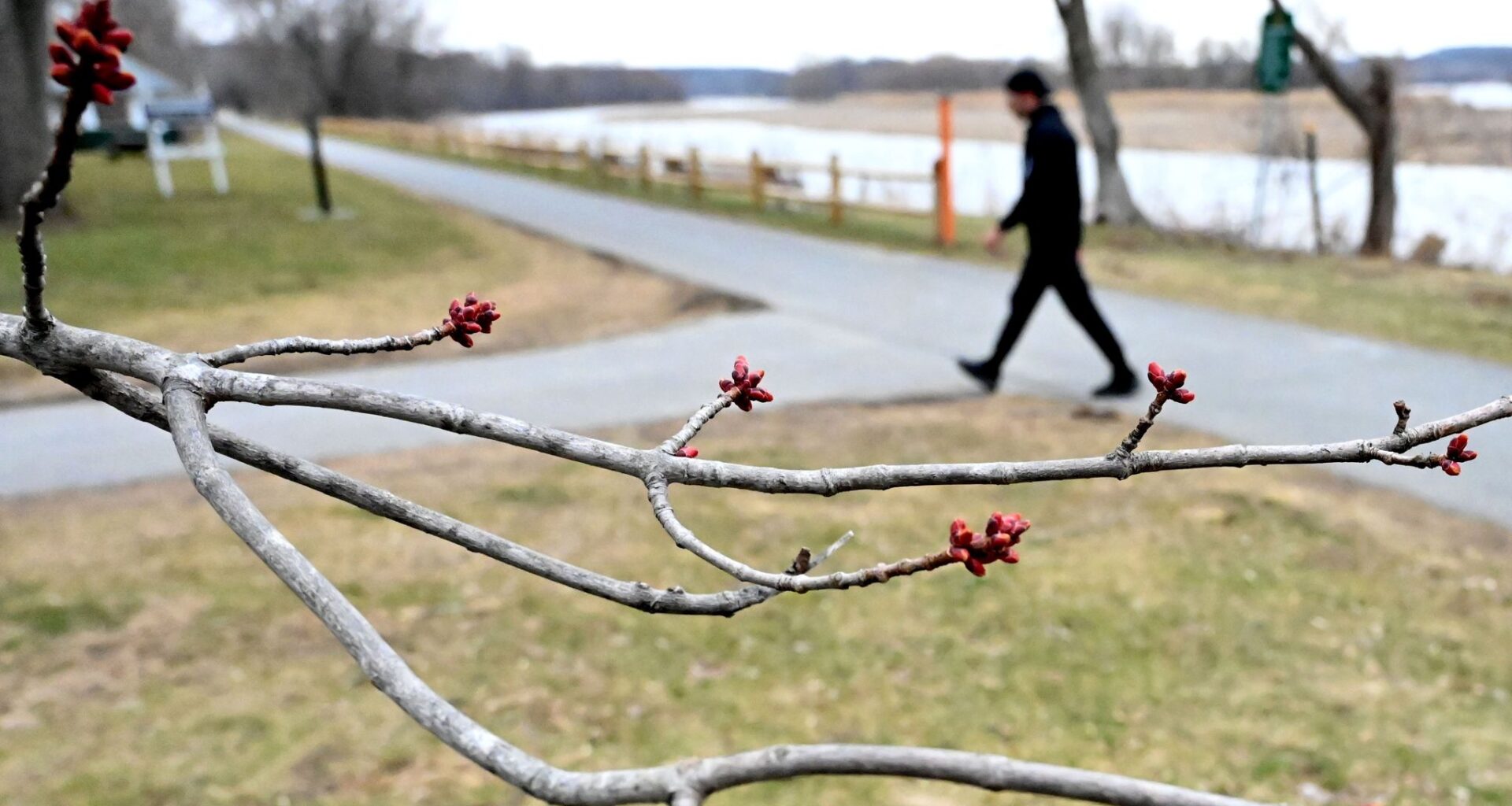 Why Albany hit 70 degrees so early this year