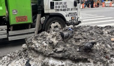 What would you miss about New York City if you left?