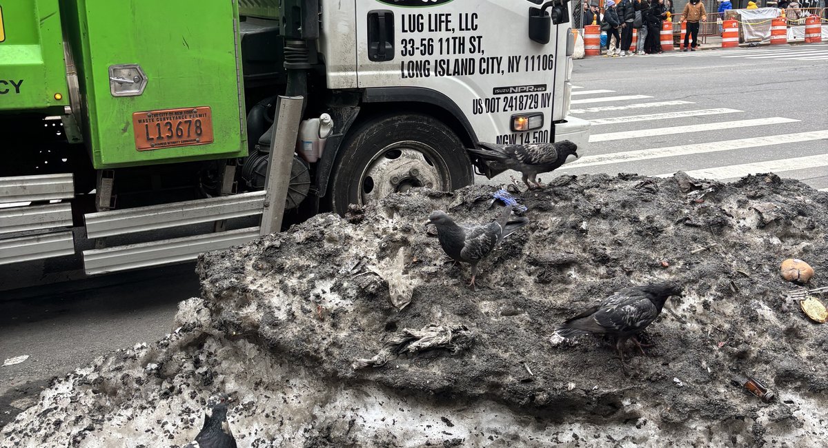 What would you miss about New York City if you left?