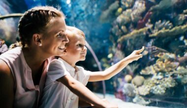 Family-Friendly Underwater Adventures Worth the Trip