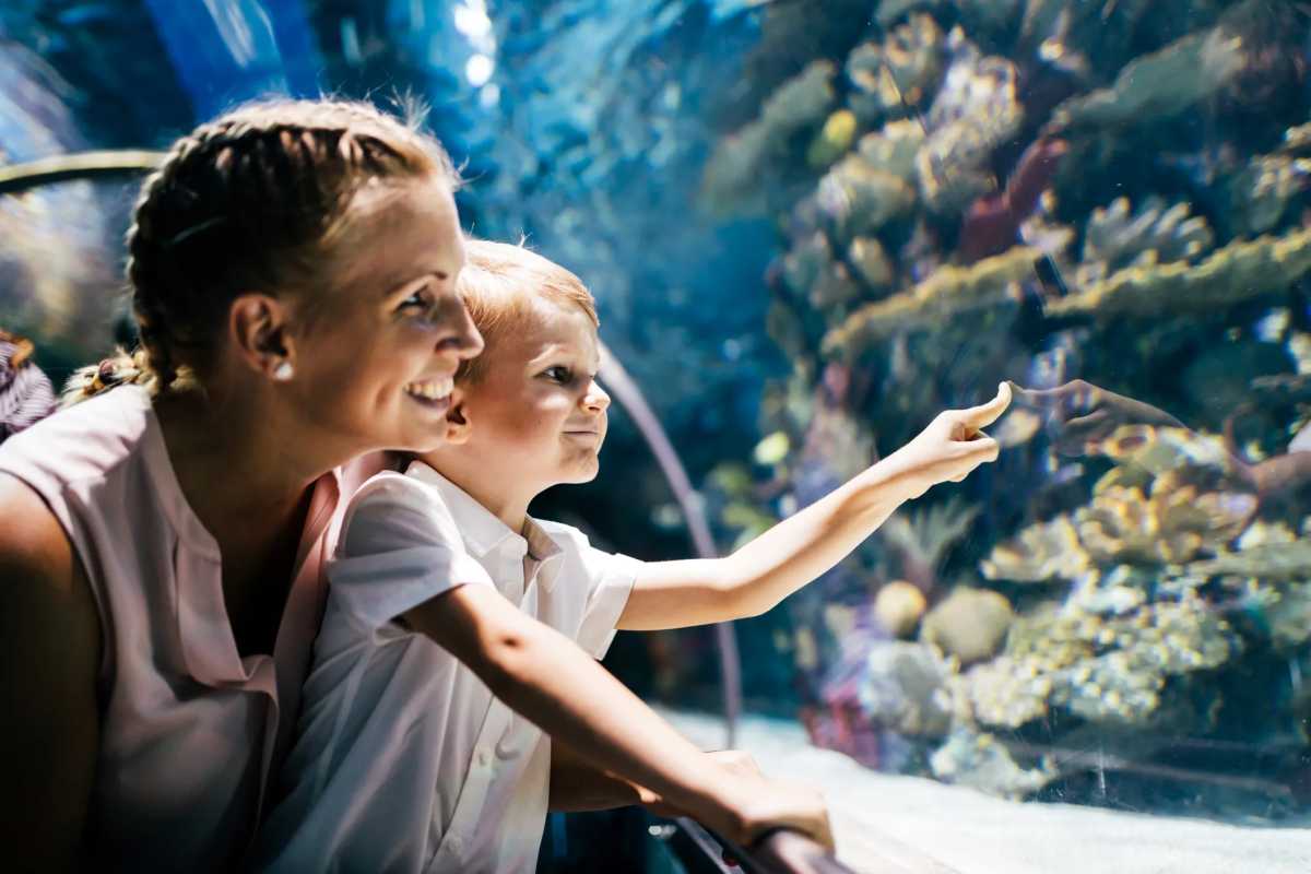 Family-Friendly Underwater Adventures Worth the Trip