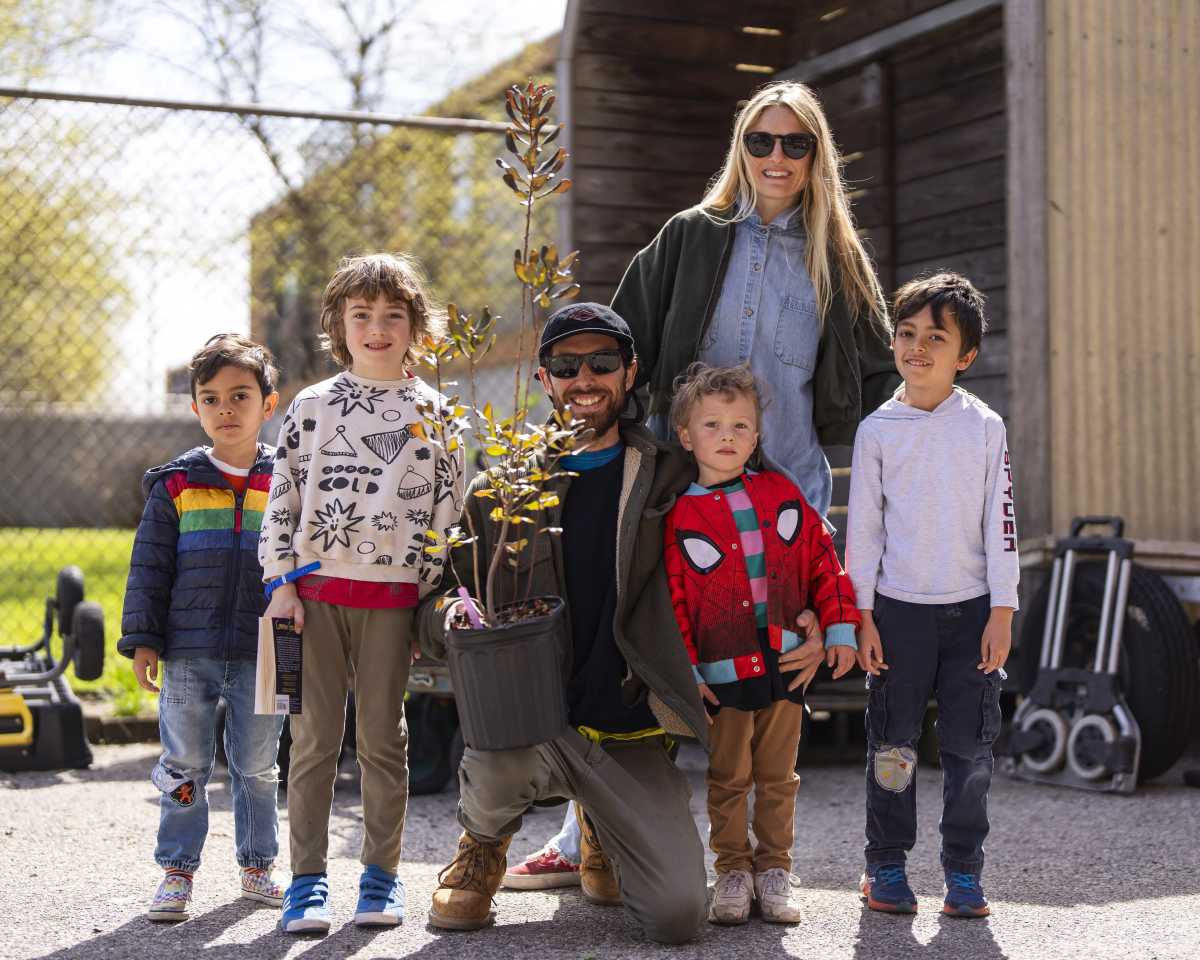 How to Get a Free Tree This Spring (3,750 Available) – New York Family