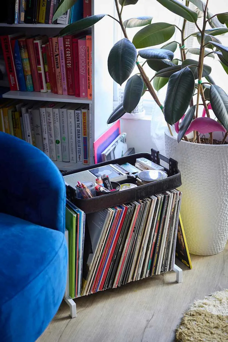 Blue velvet chair next to a record holder filled with vinyl records, a potted plant, and a bookshelf with colorful books.