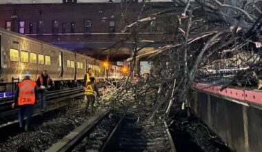 Downed tree causes LIRR service delays near Kew Gardens, Queens