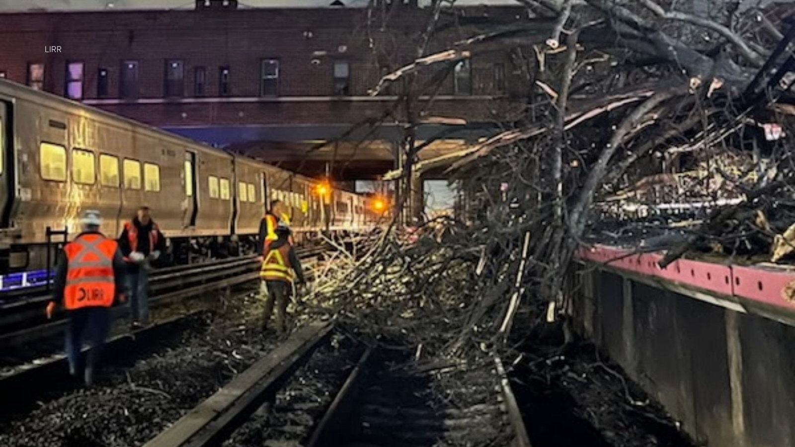 Downed tree causes LIRR service delays near Kew Gardens, Queens