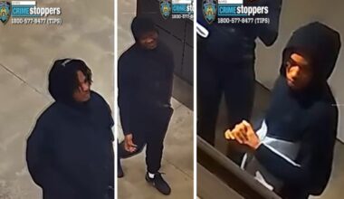 NYPD searching for group targeting athleisure stores in Manhattan, Brooklyn theft spree