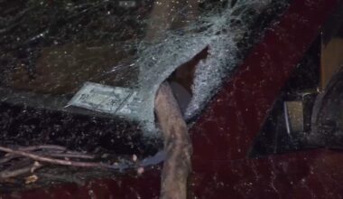 Severe storms hit New York and New Jersey, downing trees and causing power outages in some places