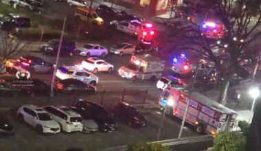 Crown Heights deadly stabbing: Woman killed, another injured inside apartment building in Brooklyn, NYC