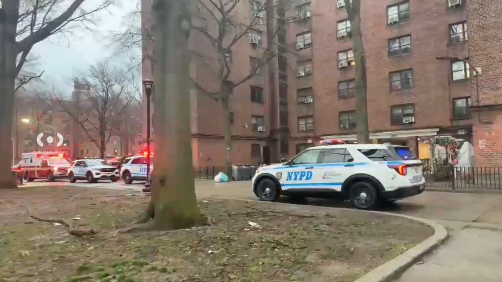 Brooklyn teen shot: 16-year-old boy killed inside NYCHA Sheepshead Bay Houses