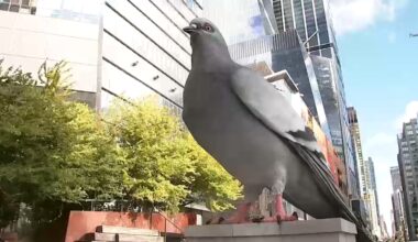 Petition to save 'Dinosaur' pigeon statue at High Line elevated park in Manhattan