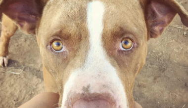 Yahoo lifestyle home