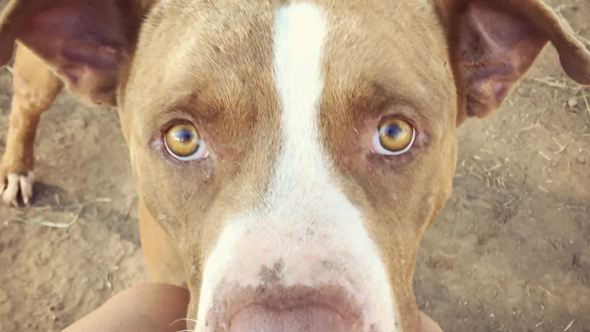 Yahoo lifestyle home