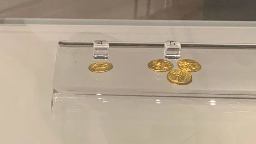 Small gold coins in a display case
