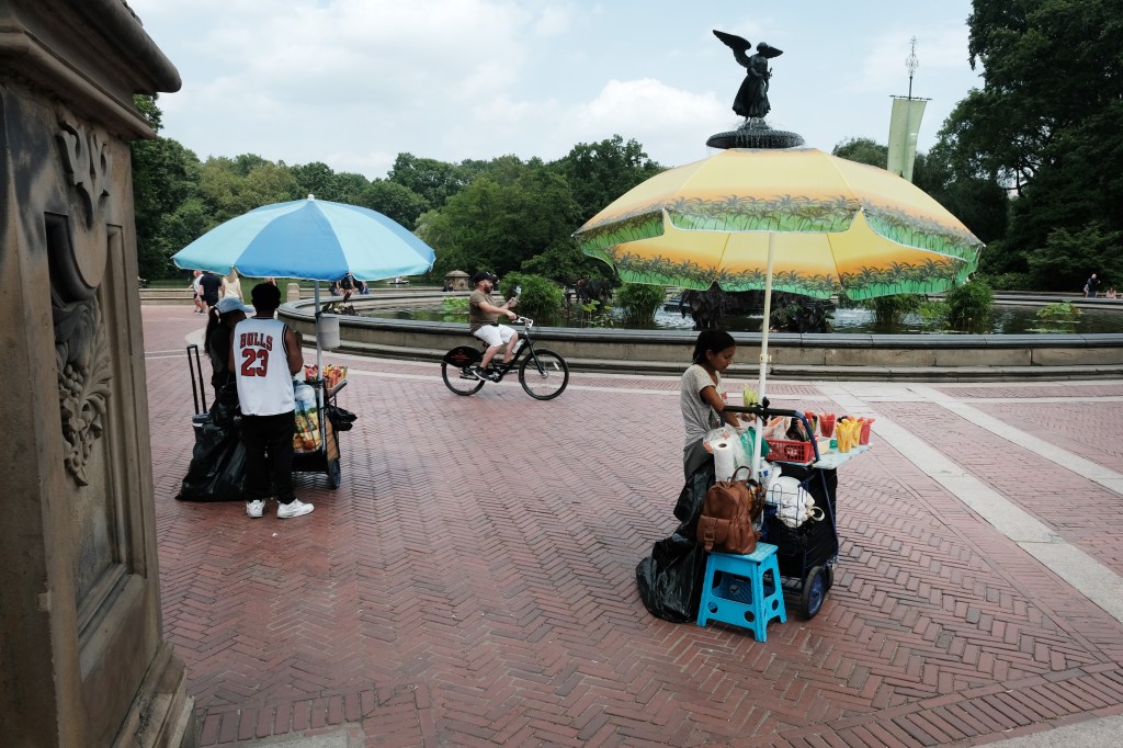 Vendors selling fruit from carts in Central Park during a heat wave.