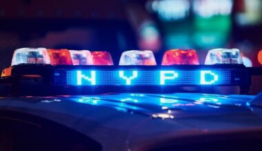 Murder Suspect Allegedly Dismembered Wife, Dumped Remains In Queens Woods: DA