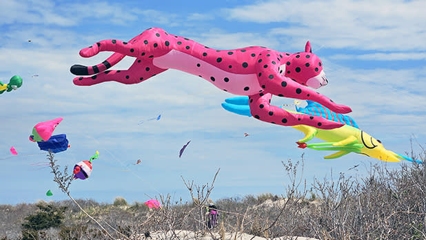 A collection of kites including a pink panther and yellow swordfish flying over a sand dune at the Go Fly a Kite Over Babylon festival