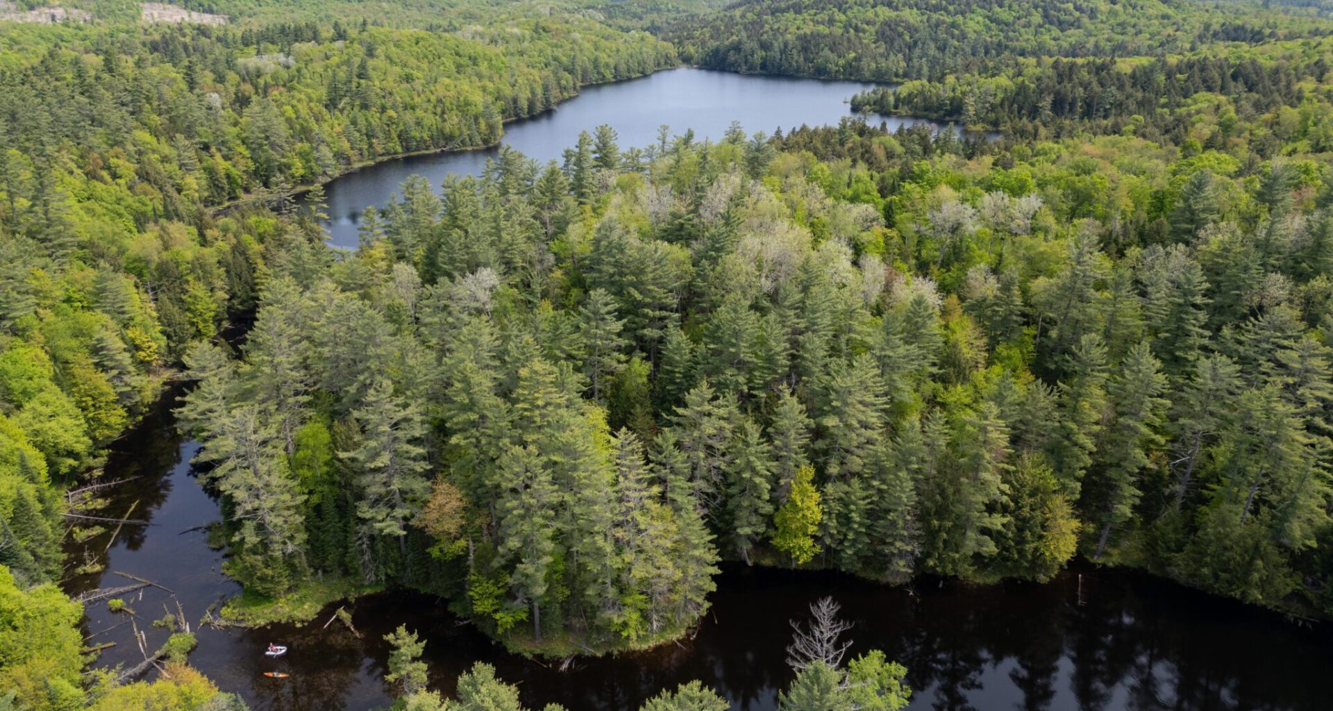 COMMENTARY: Don’t roll back New York’s climate law - Adirondack Almanack