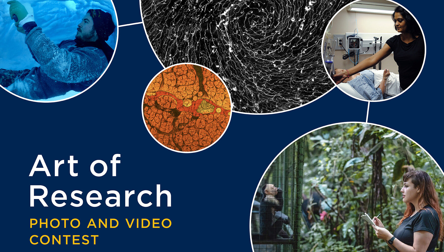 Celebrating the Art of Research