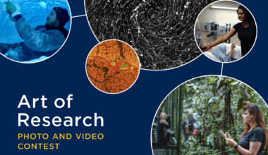 Celebrating the Art of Research