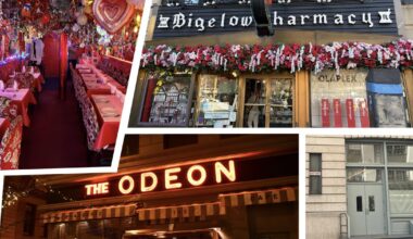 ‘Love Story’ Fans Are Mobbing Panna II and C.O. Bigelow