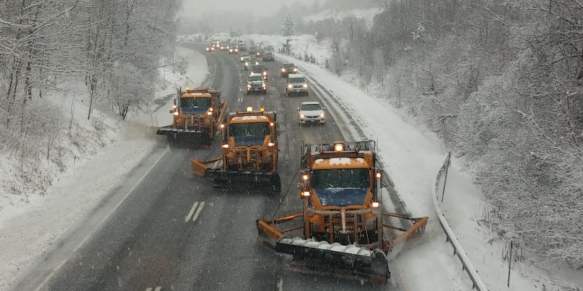New York bills target road salt pollution