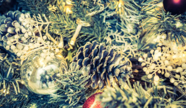 Premium Christmas Tree Delivery Now Available in NYC