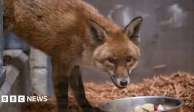 It's So Loud In Here!