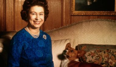 What happened to the Late Queen's corgis after Andrew Mountbatten-Windsor's Royal Lodge eviction?