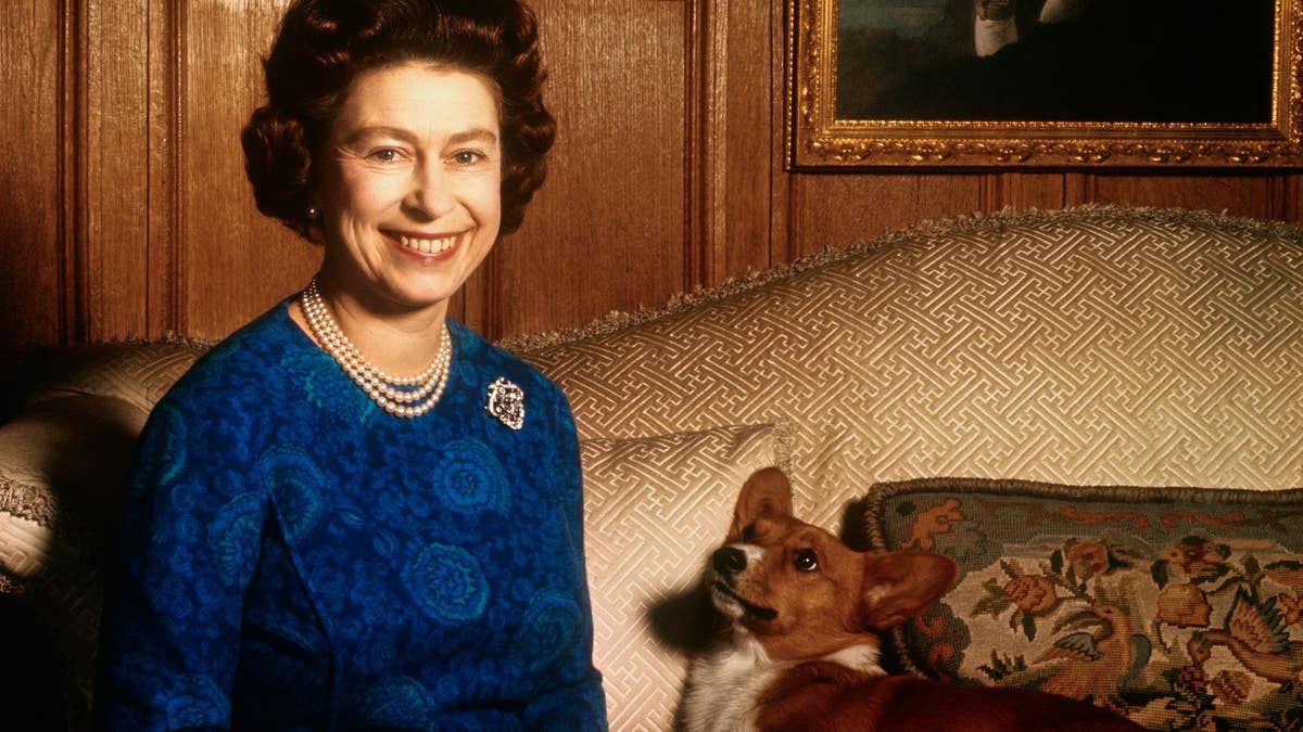 What happened to the Late Queen's corgis after Andrew Mountbatten-Windsor's Royal Lodge eviction?