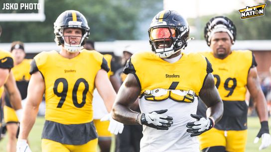 Steelers Patrick Queen TJ Watt Derrick Harmon