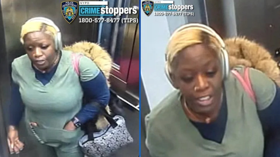 <em>The NYPD is investigating the attack of a senior in a Bronx subway station by a woman. (NYPD Handout)</em>