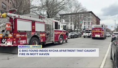 News 12 | The Bronx