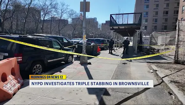 News 12 | Brooklyn | 3 stabbed outside Brownsville building; no arrests made