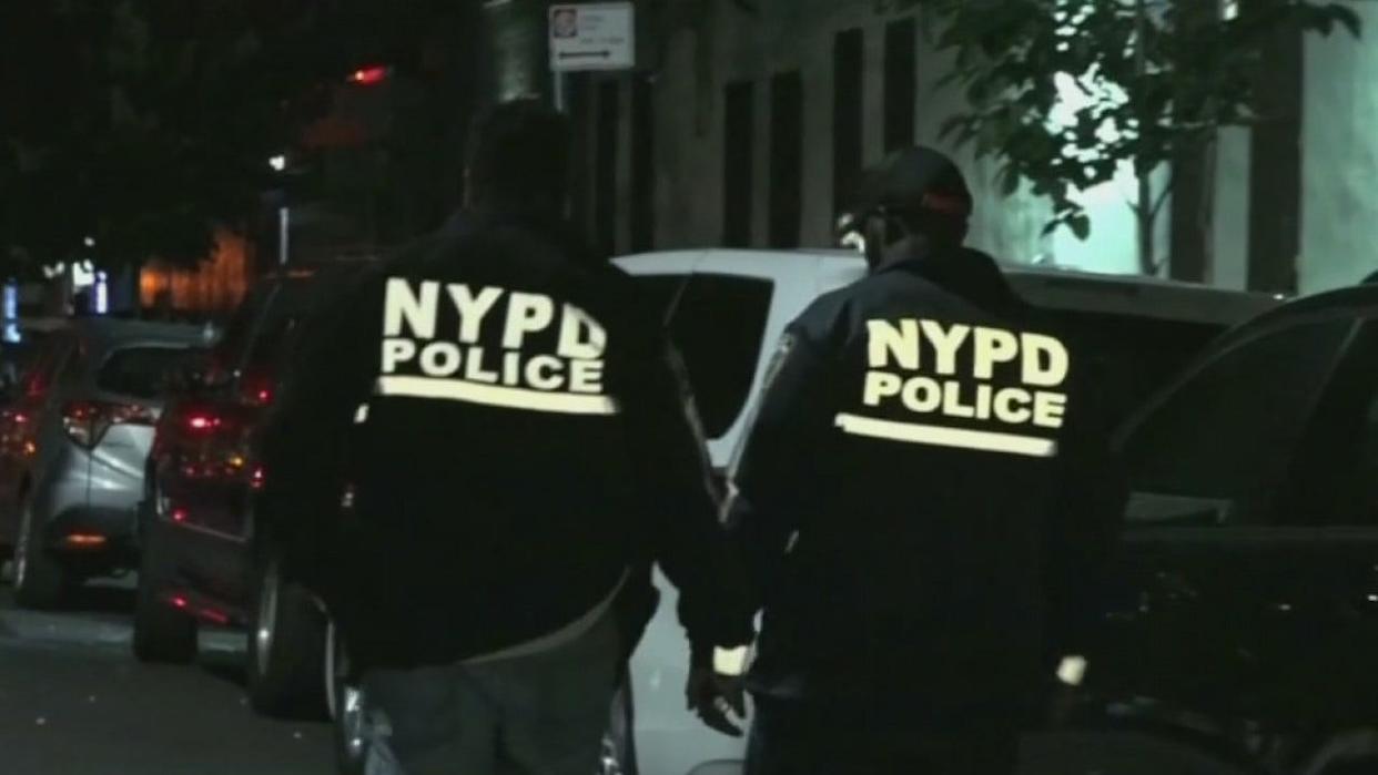 <div>NYPD officers (File FOX5NY)</div>