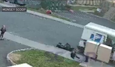 USPS worker accused of shoving 4-year-old – NBC New York