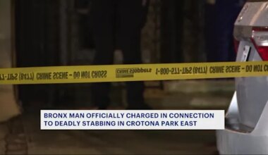 News 12 | The Bronx