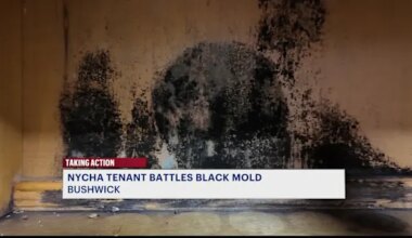 News 12 | Brooklyn | Bushwick resident says NYCHA left mold untreated; calls for change