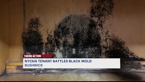 News 12 | Brooklyn | Bushwick resident says NYCHA left mold untreated; calls for change