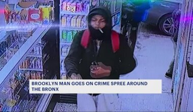 News 12 | The Bronx