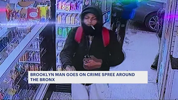 News 12 | The Bronx