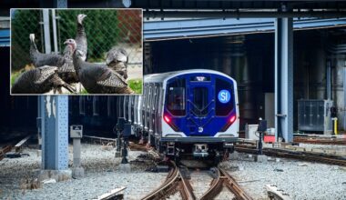 Turkeys block the tracks as Staten Island Railway suffers fowl delays