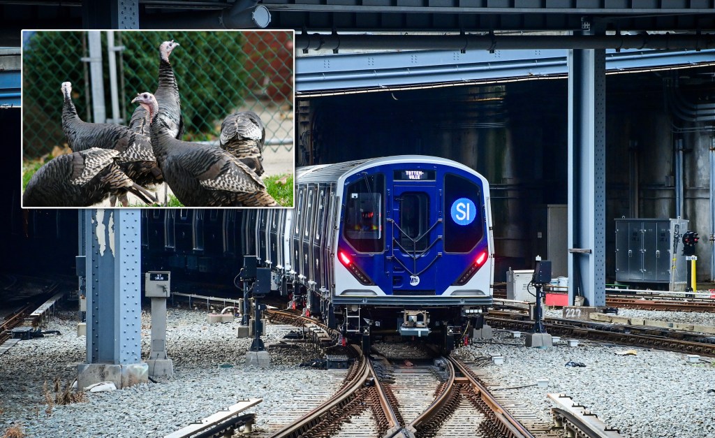 Turkeys block the tracks as Staten Island Railway suffers fowl delays