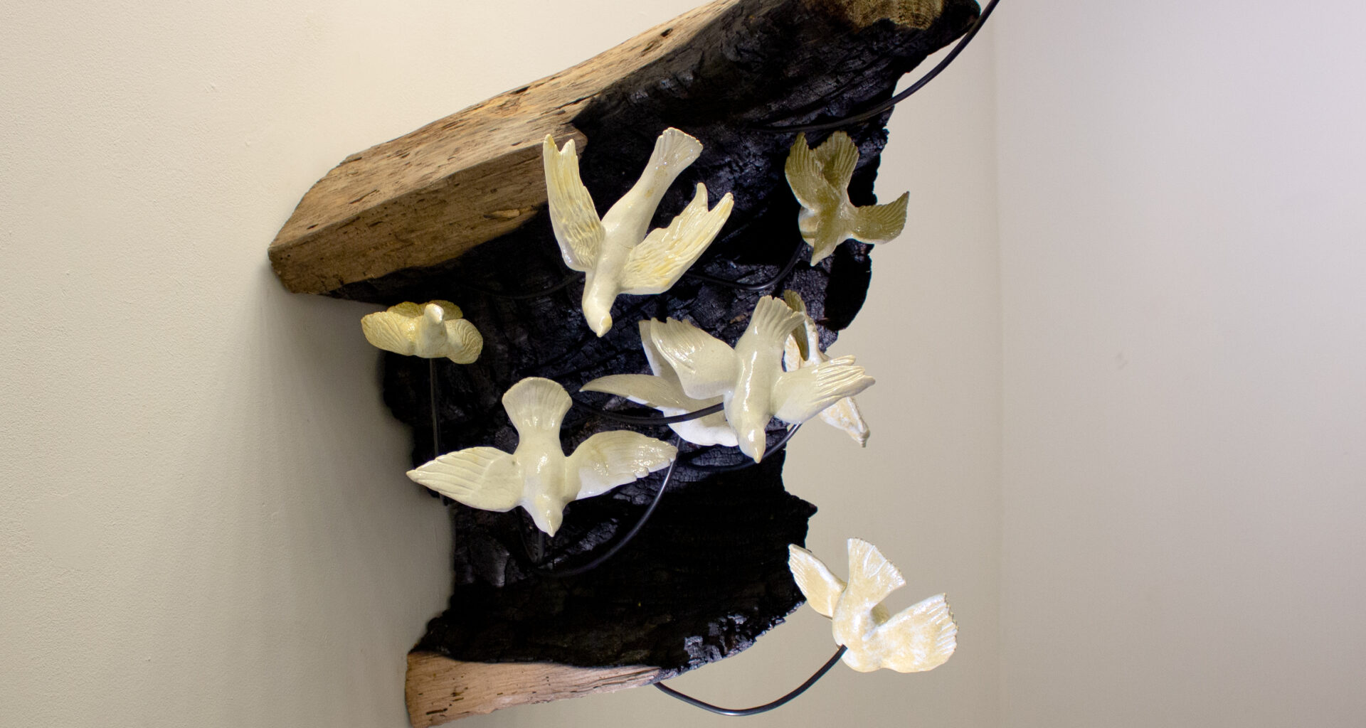 Jenny Lynn McNutt: Touch Me