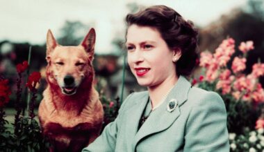 Watch the heartwarming forgotten moment between Queen Elizabeth and her beloved corgi