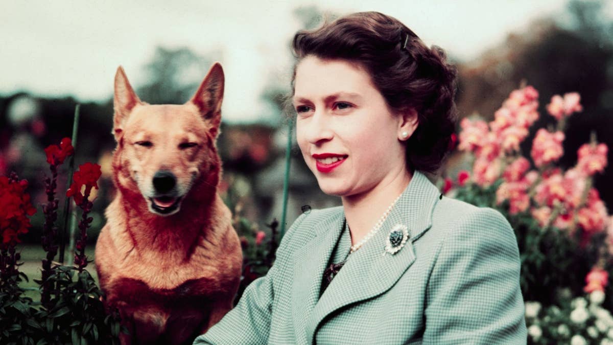 Watch the heartwarming forgotten moment between Queen Elizabeth and her beloved corgi