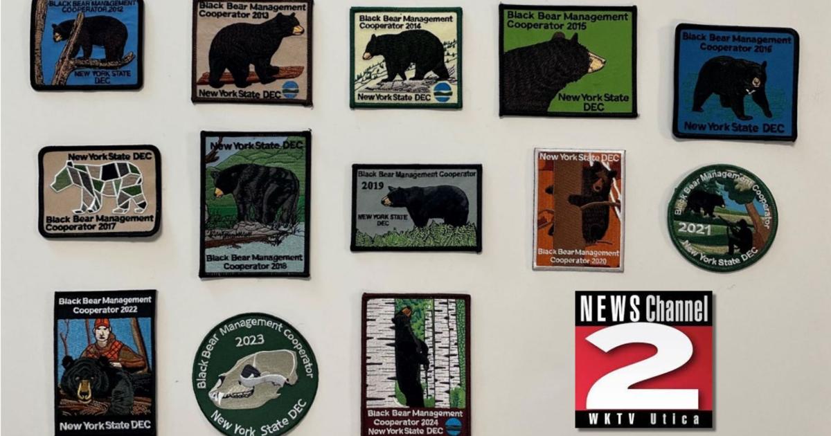 1,759 Black Bears Harvested in New York's 2025-26 Hunting Seasons | Local