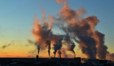 Op-Ed: The real energy affordability crisis in New York | Opinion