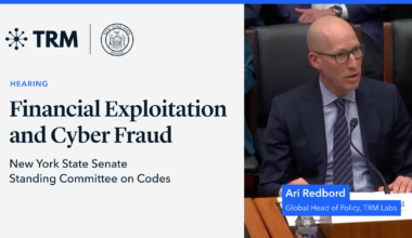 TRM’s Ari Redbord Testifies Before New York State Senate Standing Committee on Codes on Financial Exploitation and Cyber Fraud
