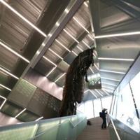 NY's New Museum returns contemporary to heart of Manhattan | National